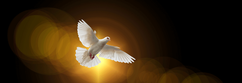 The Holy Spirit is God