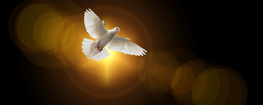 New Life Secured by the Spirit – Ephesians 1:13-14