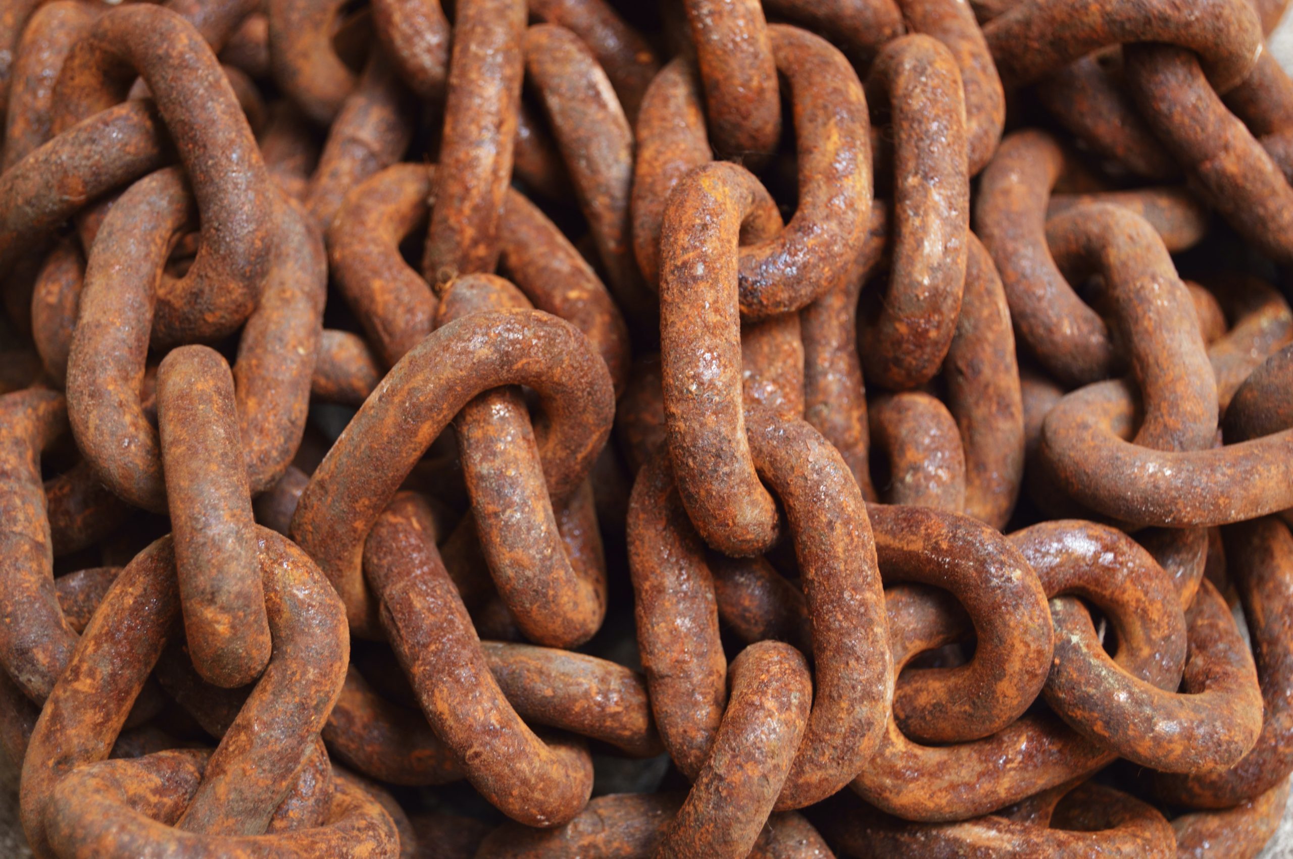 Endure: Unashamed of the Chains: 2 Timothy 1:15-18