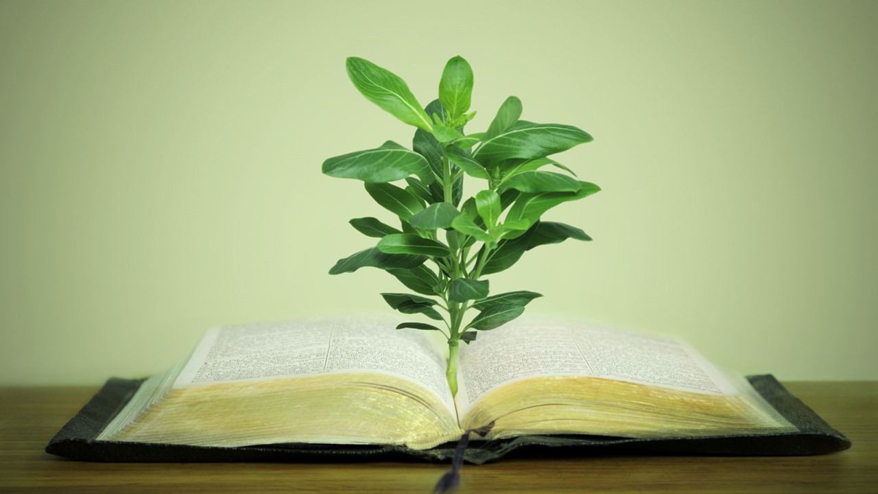 Sanctification by Faith: John 17:13-19